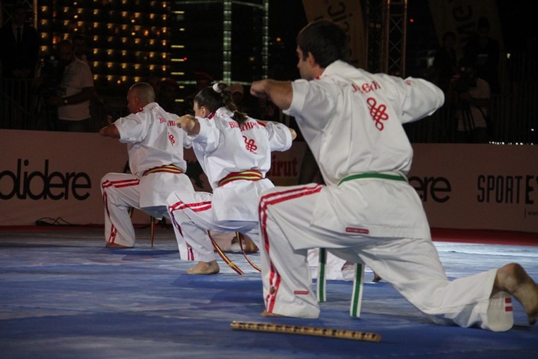 Martial Arts Festival